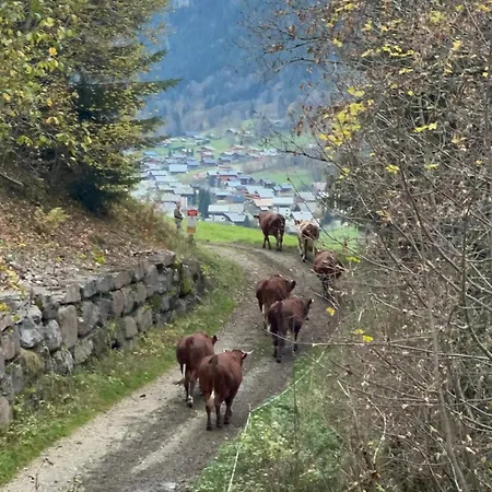 Haute Savoie Apartamento