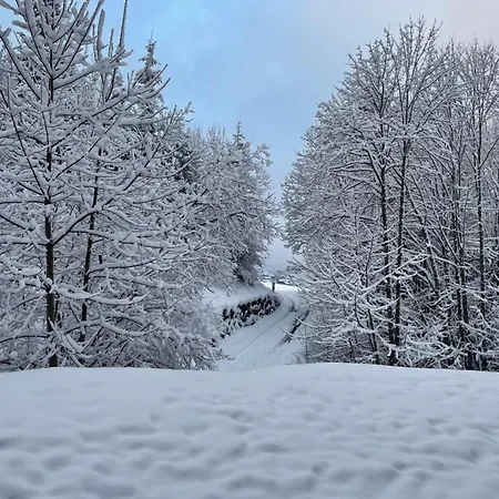 Apartamento Haute Savoie *